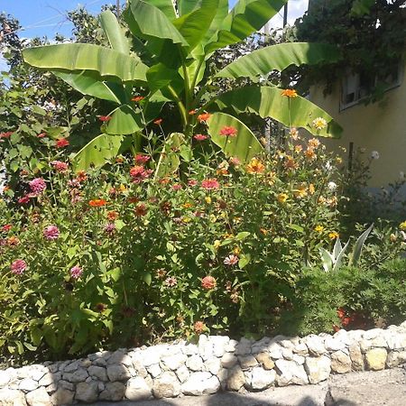 Guesthouse On Kabardinskaya 139A Gagra Exterior photo